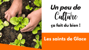 Saints de Glace