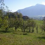 Vue du Verger de Sevraz