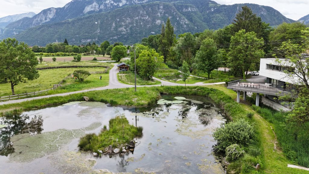 Vue du jardin