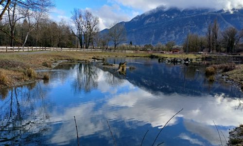 Jardin de découverte des milieux aquatiques de la vallée de l’Arve Vue de la mare