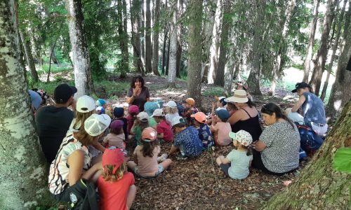 Contes en forêt Contes en forêt