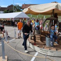 Animations lors du festival du hérisson à Peillonnex